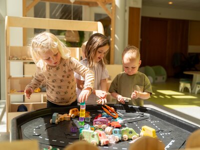 De Morgenzon impressie 1